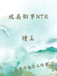 坡县韵事NTR